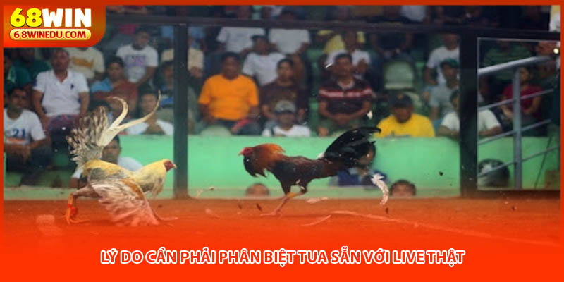 Lý do cần phải phân biệt tua sẵn với live thật